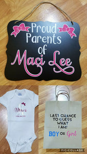 Gender Reveal - One Piece, Sign, and Bag